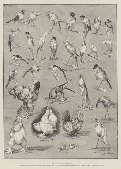 Momentos caprichosos de la naturaleza de Louis Wain